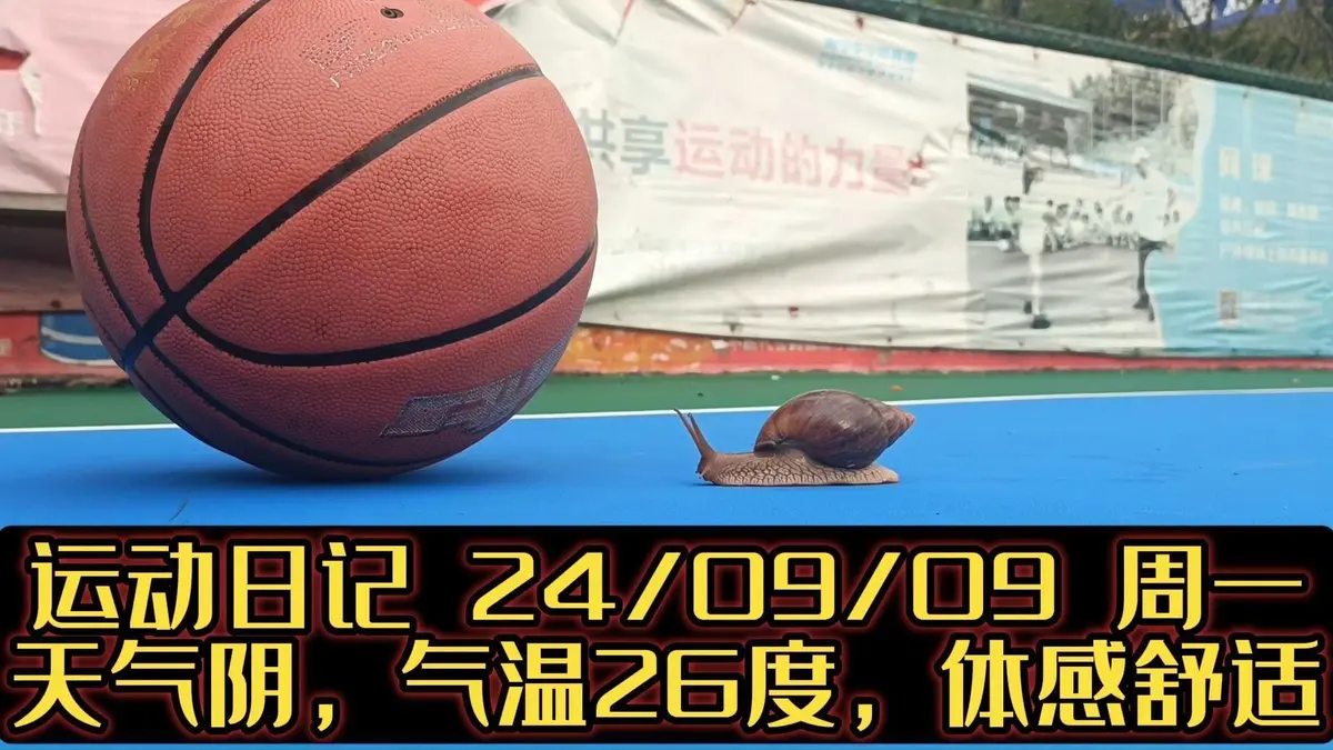 篮球力量训练计划表图片_2